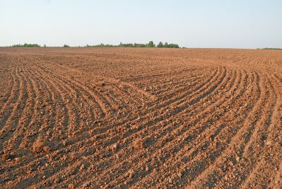 В Свердловской области расширяются площади сельскохозяйственных земель