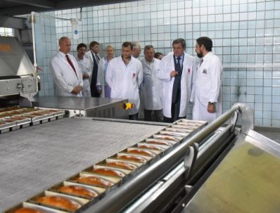 В Новосибирской области хлебокомбинат запустил новую линию словенского производства