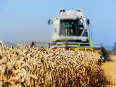 Выбор зерноуборочных комбайнов по критерию граничной урожайности
