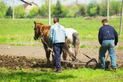 25 лет фермерского движения отметят в Свердловской области