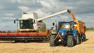 Валовой сбор зерна в России преодолел 100-миллионный рубеж