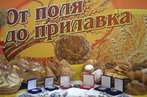 Саратовская область: Много хлеба и зрелищ