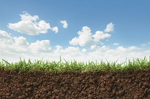 Влияние минимализации обработки почвы на микробоценоз и динамику органического вещества