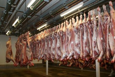 Россия к 2020 году будет охвачена сетью мясохладобоен