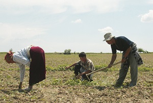 Экономика и сельское хозяйство Узбекистана