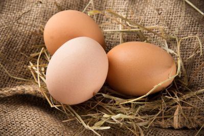 В Ульяновской области самые дешёвые яйца в Приволжье