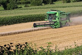 Аграрии Татарстана в 2017 году должны собрать не менее 4,5 млн тонн зерна