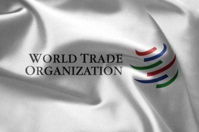 ВТО диктует правила игры или Мухи в котлеты попадать не будут