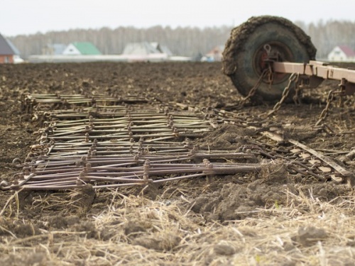 Аграрии Новосибирской области приступили к весенне-полевым работам