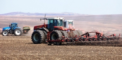 В Красноярском крае в 2018 году зерновыми и зернобобовыми культурами будет занято на 7% меньше уровня прошлого года