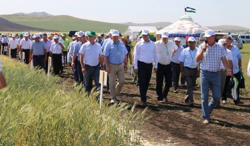 В Башкортостане состоялся День поля для аграриев степной зоны республики