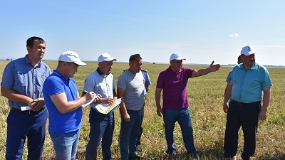Глава минсельхозпрода Татарстана проинспектировал ход уборочных работ в Кайбицком районе
