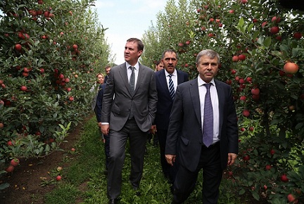 Дмитрий Патрушев: в 2018 году урожай плодов и ягод в России составит порядка 1 миллиона тонн 
