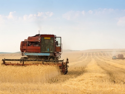 Жатва в Курганской области: преодолен рубеж в миллион тонн зерна 