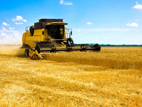 Глава Мордовии поздравил аграриев со сбором 1 млн т зерновых 