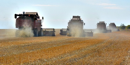 Челябинская область обеспечивает самый большой сбор зерна в Уральском федеральном округе
