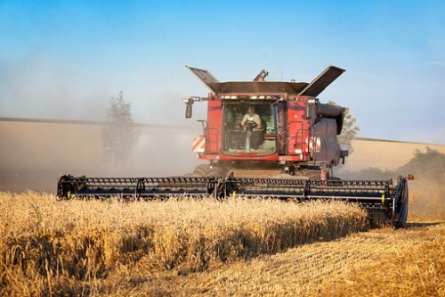 В Свердловской области убрано 93% зерновых культур