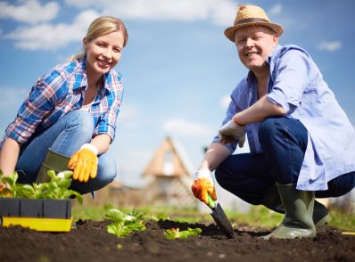В Ульяновской области в 2019 году изменён подход к работе с садоводами