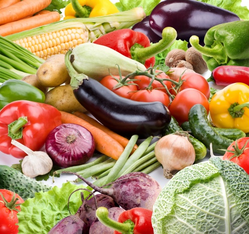 В Мордовии обсудили производство органической сельхозпродукции