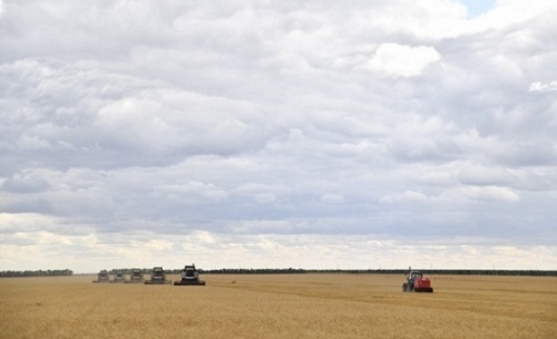 Саратовский фермер получает высокую урожайность зерновых