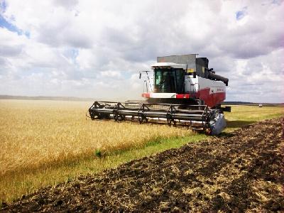 Хлеборобы Саратовской области собрали более 2 млн тонн зерна
