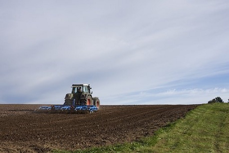 В Кузбассе в сельхозоборот введено 12,6 тыс. га брошенных земель