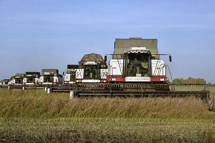 В Тюменской области завершили уборку зерновых и зернобобовых