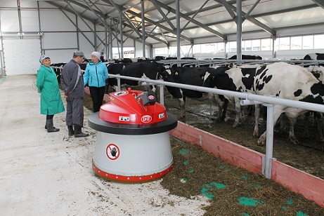 Молочное животноводство Удмуртии показывает стабильный рост