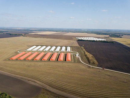 В Пензенской области агрохолдинг экспортировал более 1400 тонн продукции