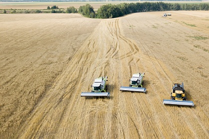 В Пензенской области валовой сбор зерна превысил 1,5 млн тонн