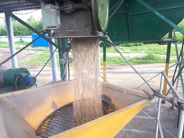 Продфонд Чувашии ведет приемку зерна в несколько смен
