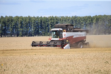 В Пензенской области урожай зерна значительно превысил прошлогодний
