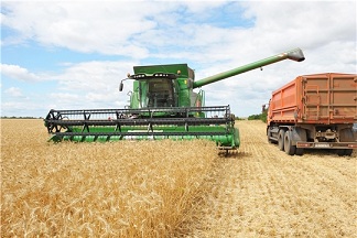 В Чувашии намолот зерна превысил показатель прошлого года