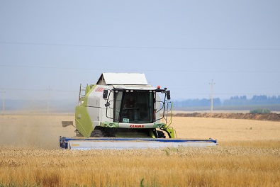 Аграрии Пензенской области собрали 3,04 млн тонн зерна