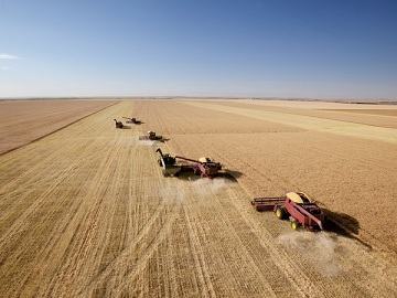Аграрии Новосибирской области намолотили 2 млн тонн зерна