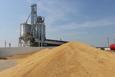 В Томской области субсидируют модернизацию зернокомплексов