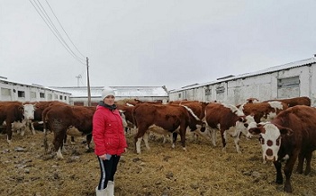 Омские фермеры осваивают гранты «Агростартап»
