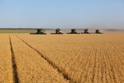 В Пензенской области агрохолдинг перевыполнил план по урожайности