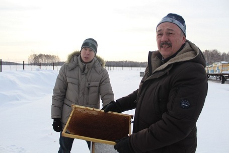 Омский молодой фермер развивает промышленное пчеловодство