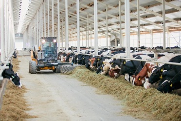 В Пензенской области агрохолдинг вложит миллиарды в фермы