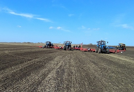 В Татарстане на сев яровых зерновых вышли аграрии 37 районов