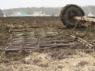 Кузбасские аграрии получили более 116 млн рублей «погектаровки»