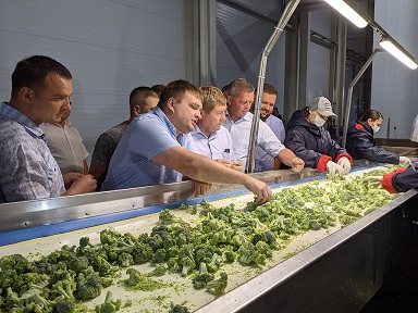 В Нижегородской области запустили линию заморозки овощей