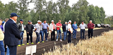 Южноуральские аграрии выберут продуктивные сорта пшеницы