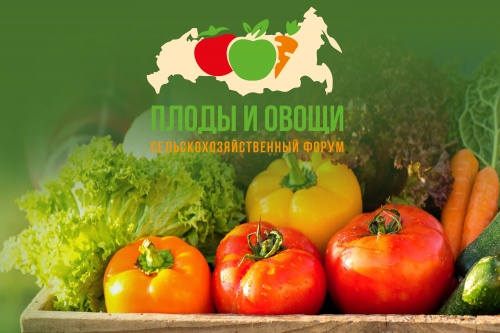Плоды и овощи России - 2021
