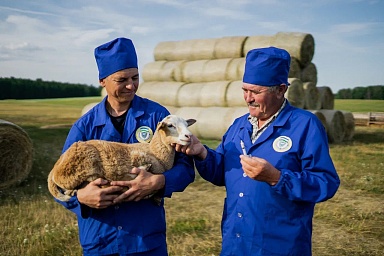 В России растет производство ветеринарных препаратов