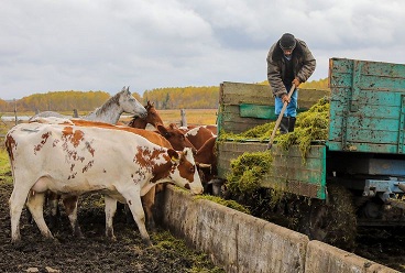 Семейные фермы Красноярского края получили гранты