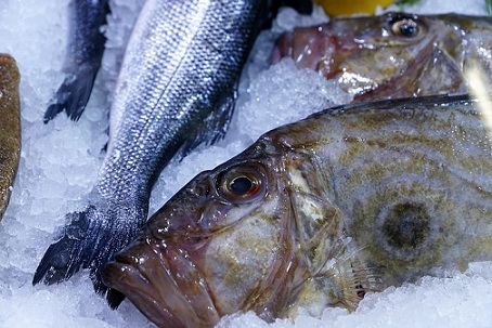 В Оренбурге заработает новое рыбное производство