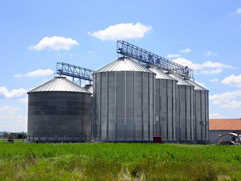 В Саратовской области оптимально выстроена зерновая логистика