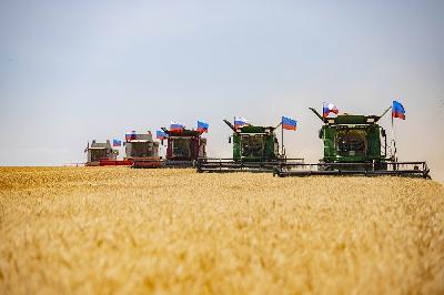 В Саратовской области приступили к уборке озимой пшеницы